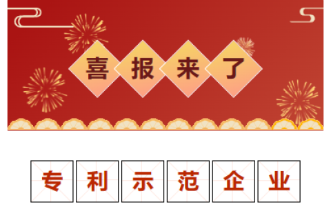 喜報(bào)！金華市專利示范企業(yè)！
